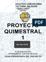 PROYECTO 8vo-9no-A Y B 2d0 Quimestre