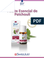 doc capacitacion Patchouli.pdf
