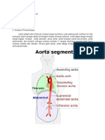 Cta Aorta Thoracalis