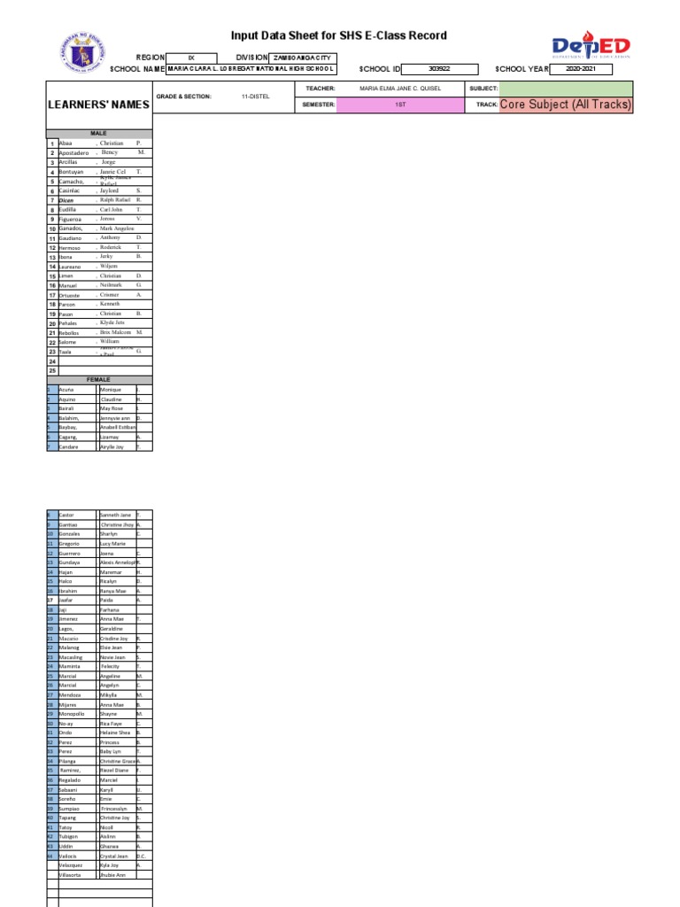 Input data sheet for shs e class record learners names pdf
