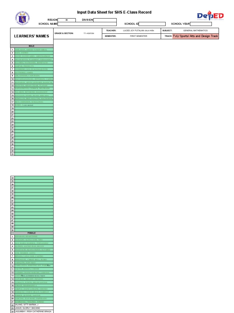Input data sheet for shs e class record learners names pdf