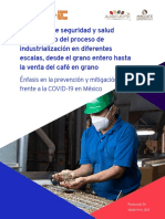 Protocolo IV de SST en el trabajo del proceso de industrialización en diferentes escalas, desde el grano entero hasta la venta del café en grano