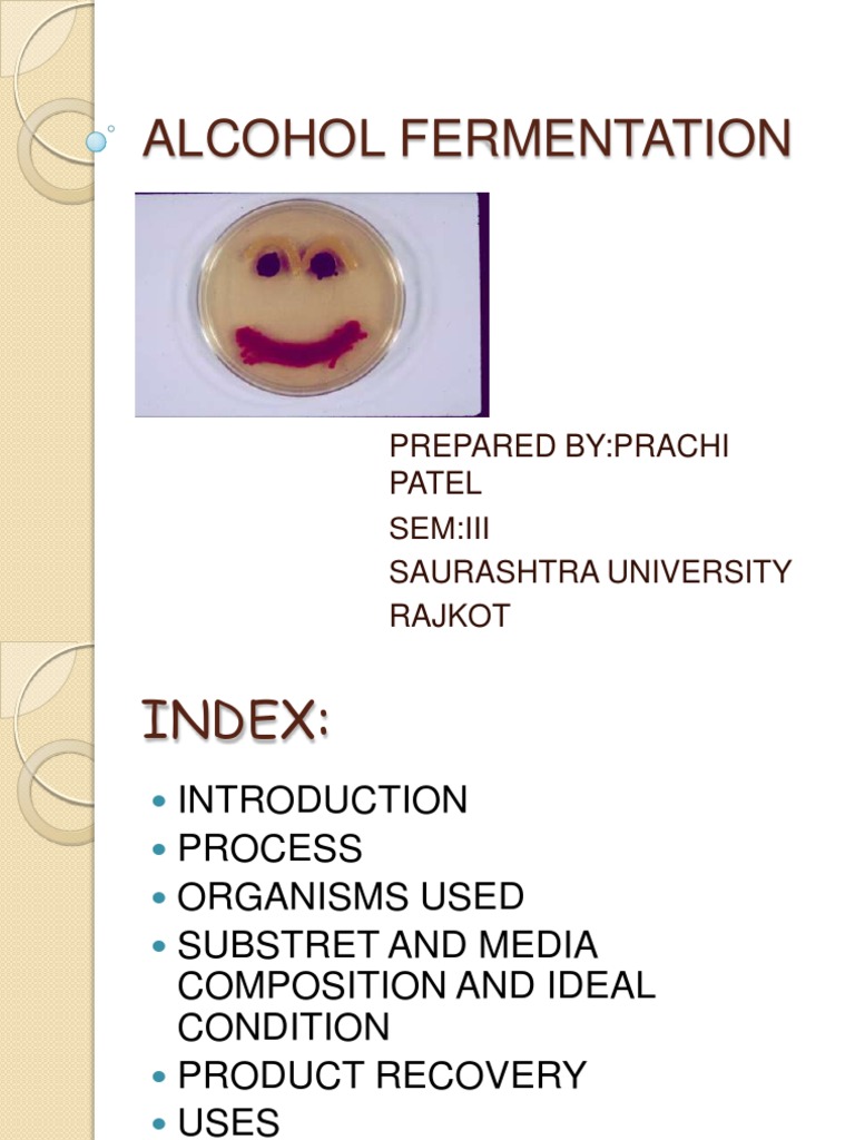 Alcohol Fermentation Process Overview | PDF | Ethanol | Fermentation