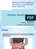 Ocluzie Intestinală