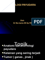 Kuliah Patologi Payudara 2014