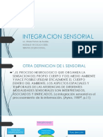 Integracion Sensorial 2