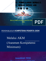 AKM SD-MI-MTs-SMP