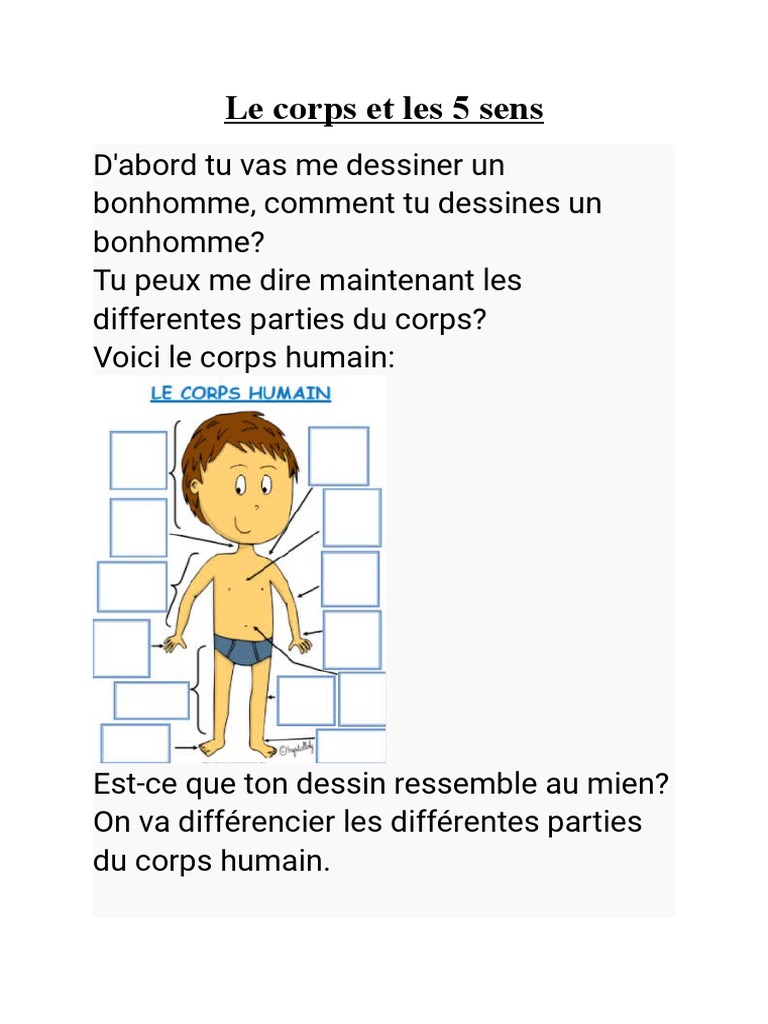 Les 5 Sens Du Corps