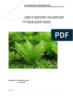Detail Project Report On Export of Bracken Fern