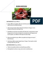 Bunga Rafflesia