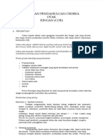 PDF LP Cor Cidere Otak Ringan