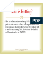 What Is Blotting?: Presented by Priyanka Anjali, Designed by Dr.T.V.Rao MD 2