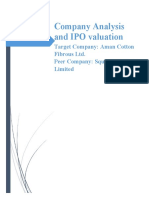 Company Analysis and IPO Valuation