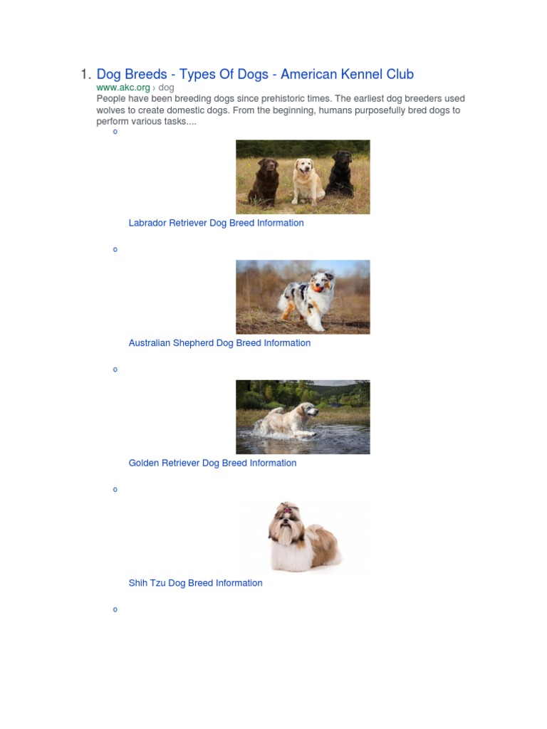 Dog Breeds 202145568 | PDF | Dog Breeds | Dogs
