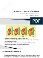 Tratamentul Cancerului Renal