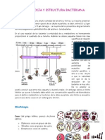 Morfología y Estructura Bacteriana (Resumen) - Laura E. Díaz Chávez