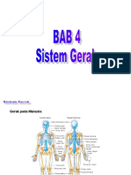 BAB 4 (Sistem Gerak)