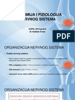 Anatomija I Fiziologija Nervnog Sistema DR Krstic Vladimir