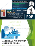 Actividad Probatoria y Medios Impugnatorios - Ix Semestre A - German, Edgar, Jose Luis, Xussan Diapositivas