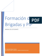 Formación de Brigadas y PIP