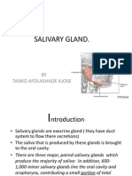 Salivary Gland