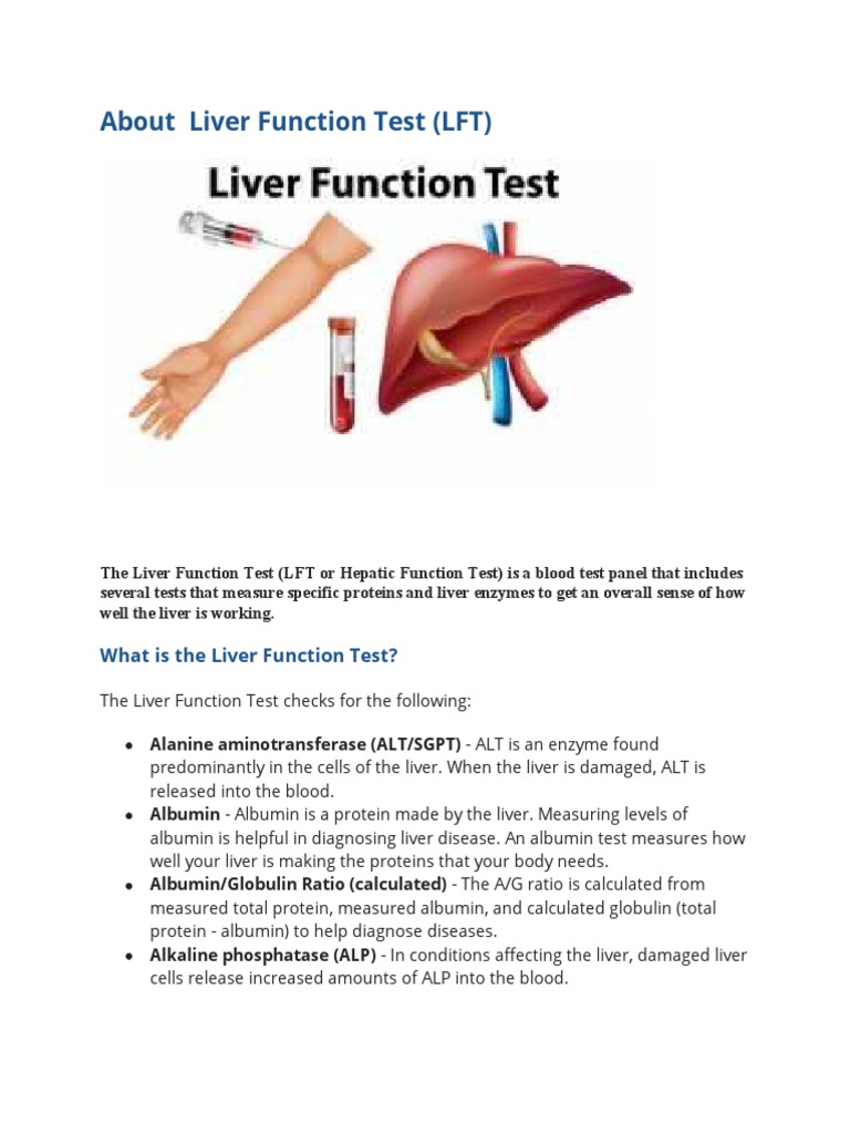 Overview of Liver Function Tests (LFT) | PDF | Alanine Transaminase ...