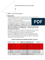 1. Junio 2021 Guanache Primera Entrega