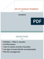 Management of Common Problems: Jaundice