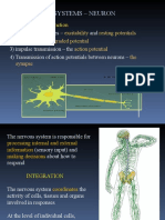 Nervous Systems - Neuron Function: Excitability Resting Potentials Graded Potential Action Potential The Synapse