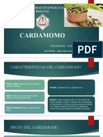 CARDAMOMO (Rev)