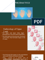 Polydactyly