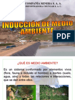 Induccionmedioambiente 150617175407 Lva1 App6892