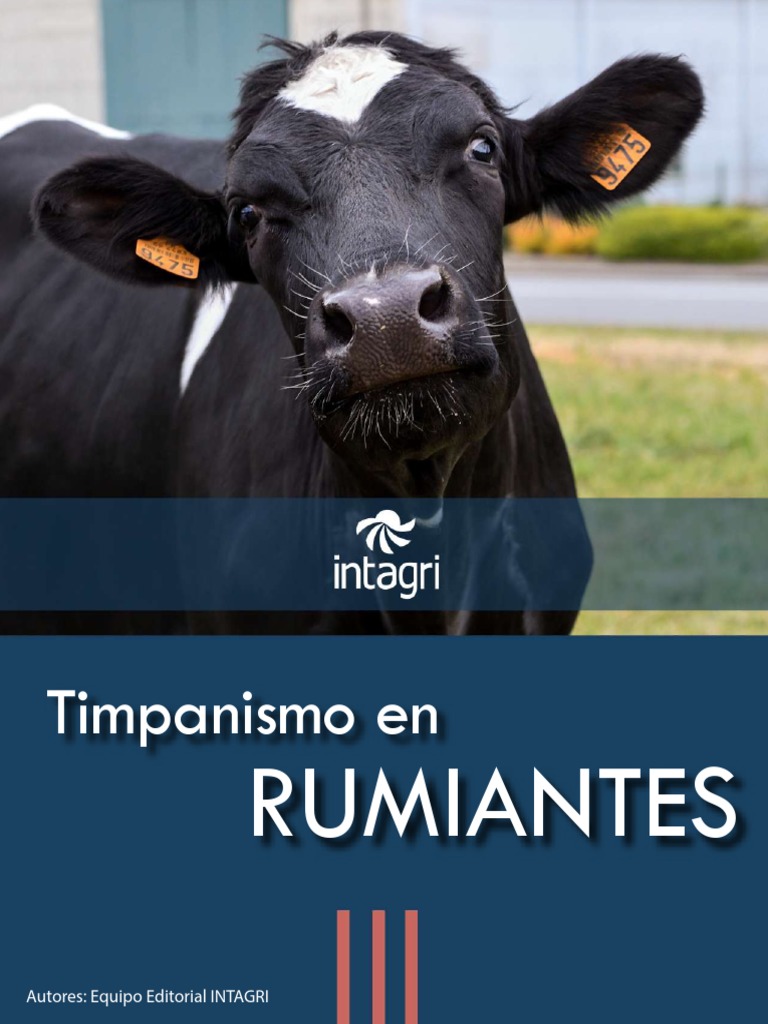 Timpanismo en Rumiantes PDF Rumiante Especialidades Medicas