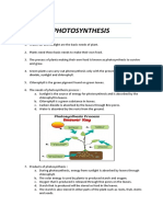 Photosynthesis Year 4