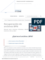 Recperar BPN File