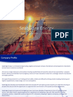 Energy Company Profile