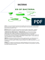 Bacterias