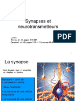 Dia Sn6 Synapses