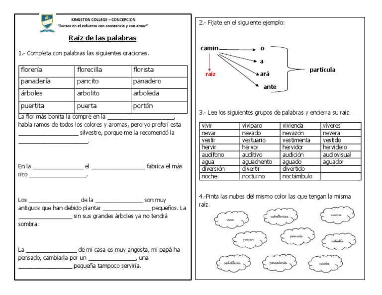 Raíz de Las Palabras PDF Naturaleza Plantas