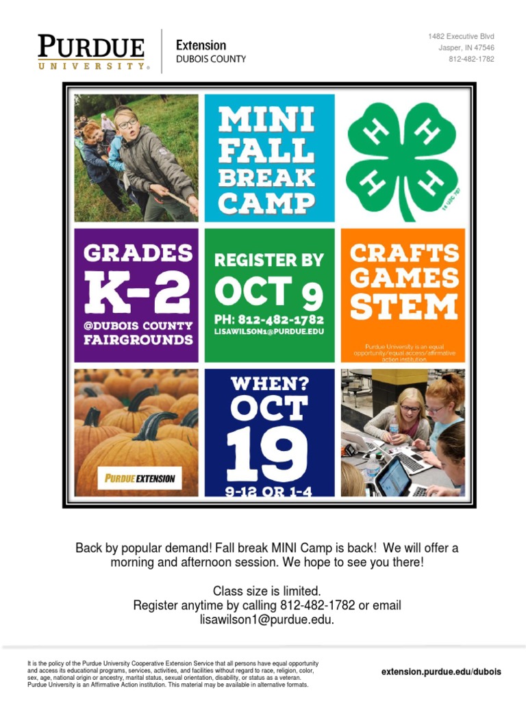 Fall Break Mini Day Camp | PDF