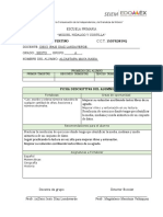 Formato Individual Ficha Descriptiva