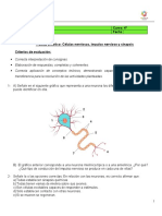 Trabajo Práctico Neuronas Impulso Nerviosos y Sinapsis