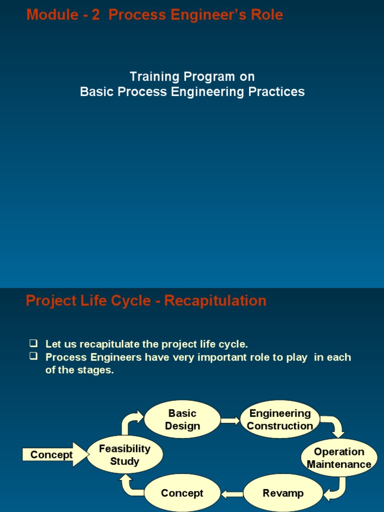 Training Program On Basic Process Engineering Practices PDF