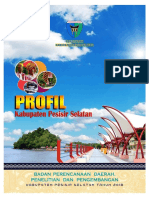 Profil Daerah 2019