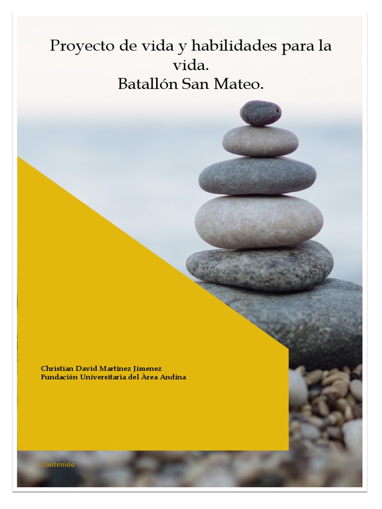 Taller Proyecto de Vida | PDF | Las emociones | Inteligencia emocional