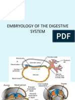 Digestive System Embryology