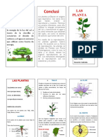 Las plantas: crecimiento, reproducción y partes