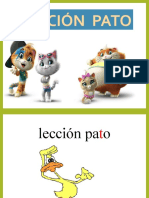 Leccion Pato