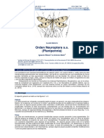 Orden Neuroptera