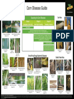 2014 Corn Disease Guide